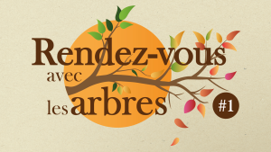 Rendez-vous avec les arbres